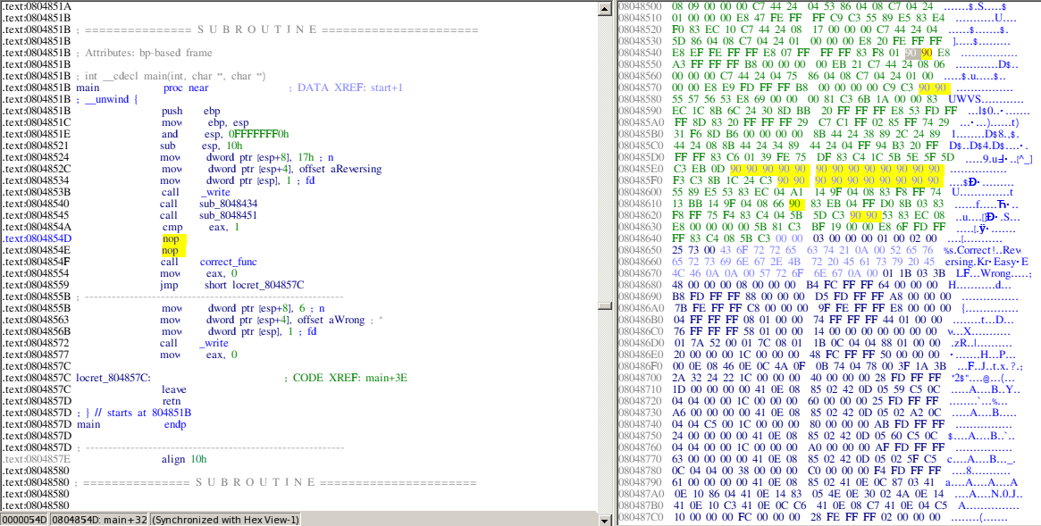 Hex view after patching
